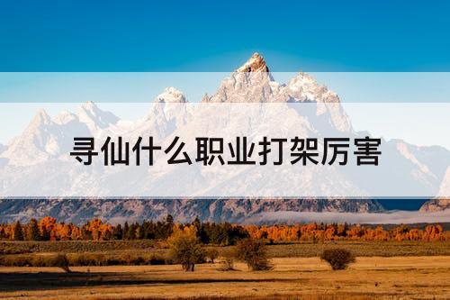 寻仙什么职业打架厉害