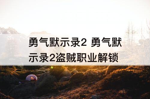 勇气默示录2 勇气默示录2盗贼职业解锁