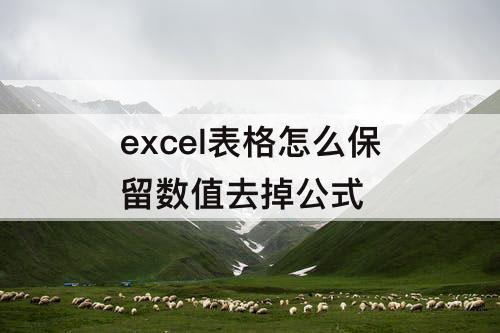 excel表格怎么保留数值去掉公式