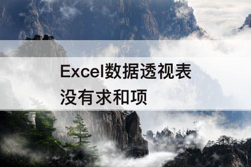 Excel数据透视表没有求和项