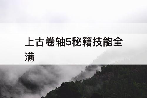 上古卷轴5秘籍技能全满