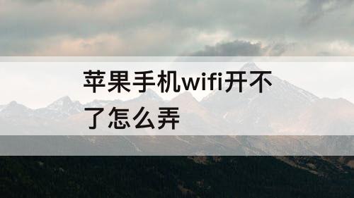 苹果手机wifi开不了怎么弄