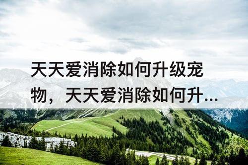 天天爱消除如何升级宠物，天天爱消除如何升级宠物小窝