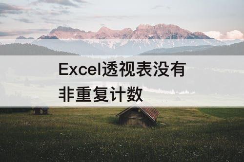 Excel透视表没有非重复计数