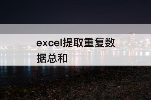 excel提取重复数据总和