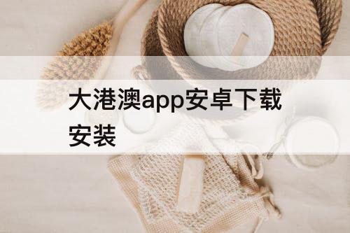 大港澳app安卓下载安装