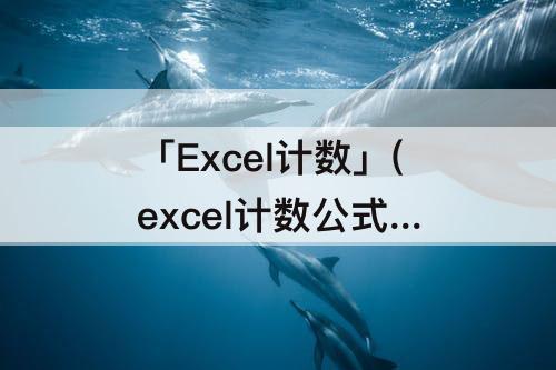 「Excel计数」(excel计数公式 范围)