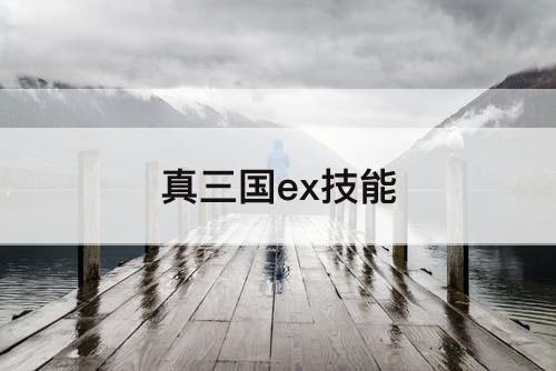真三国ex技能