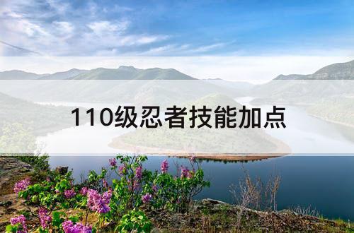 110级忍者技能加点