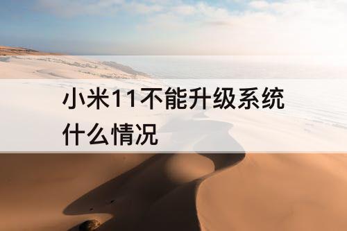 小米11不能升级系统什么情况