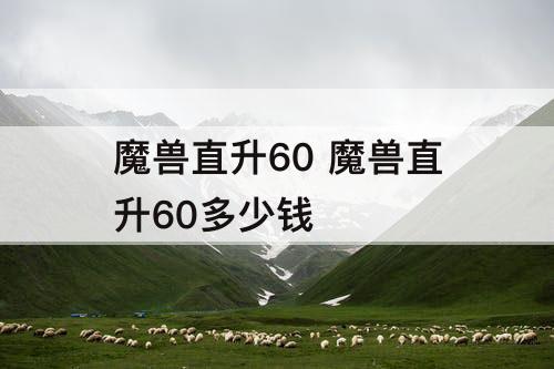 魔兽直升60 魔兽直升60多少钱