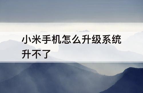 小米手机怎么升级系统升不了