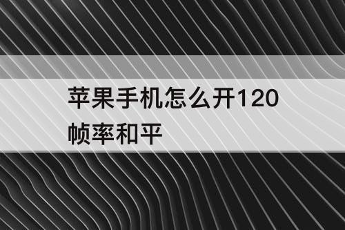 苹果手机怎么开120帧率和平