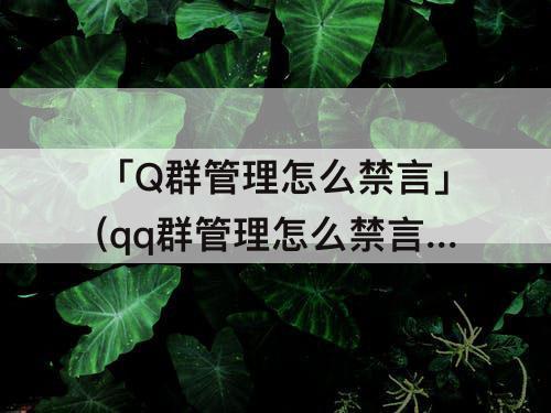 「Q群管理怎么禁言」(qq群管理怎么禁言)