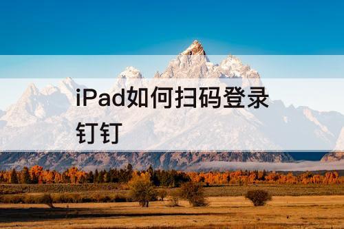 iPad如何扫码登录钉钉