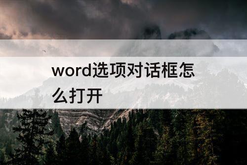 word选项对话框怎么打开