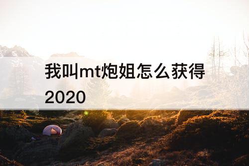 我叫mt炮姐怎么获得2020