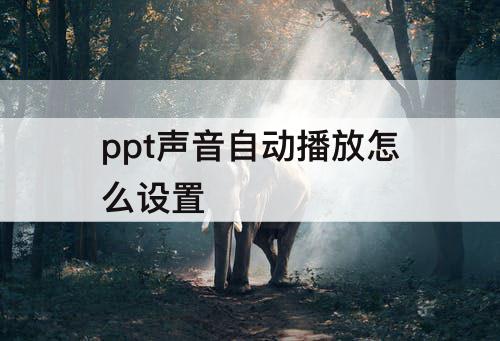 ppt声音自动播放怎么设置