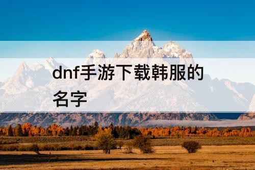 dnf手游下载韩服的名字