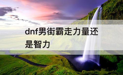 dnf男街霸走力量还是智力