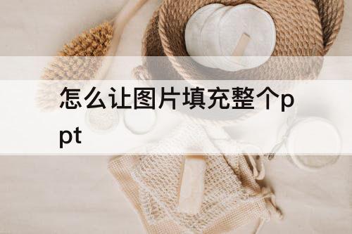 怎么让图片填充整个ppt