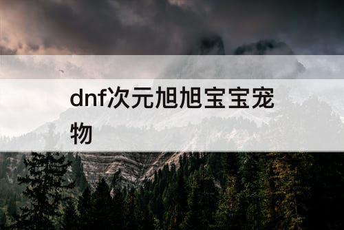 dnf次元旭旭宝宝宠物