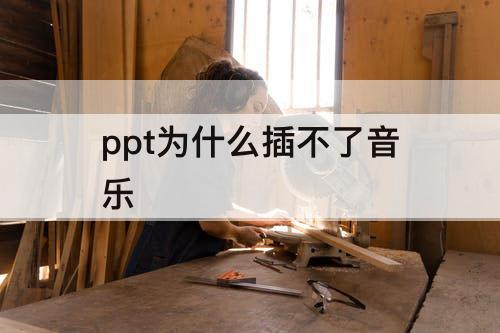 ppt为什么插不了音乐