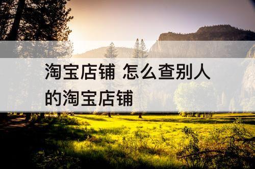 淘宝店铺 怎么查别人的淘宝店铺