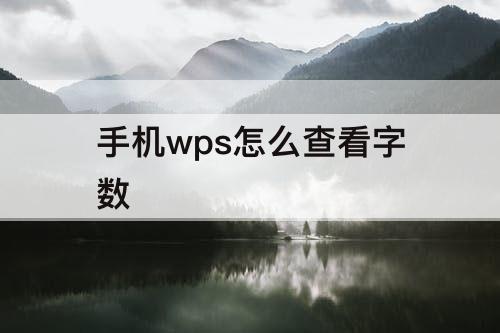 手机wps怎么查看字数