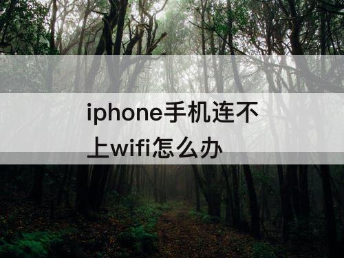 iphone手机连不上wifi怎么办