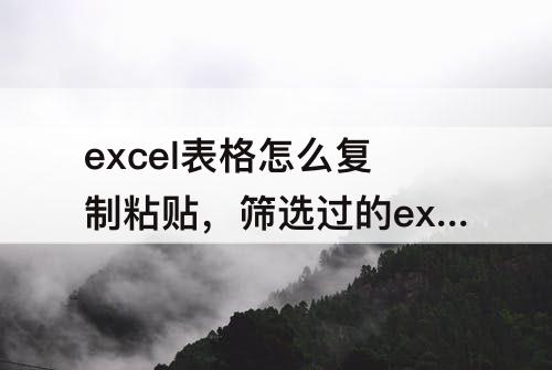 excel表格怎么复制粘贴，筛选过的excel表格怎么复制粘贴