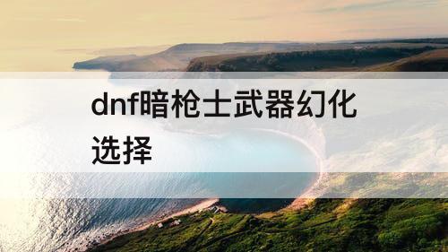 dnf暗枪士武器幻化选择