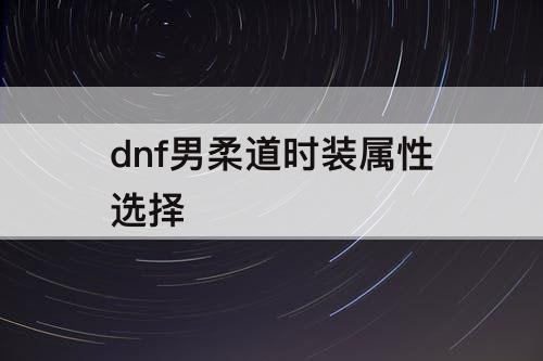 dnf男柔道时装属性选择