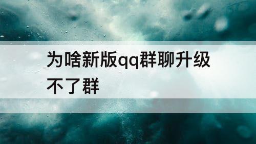 为啥新版qq群聊升级不了群
