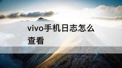 vivo手机日志怎么查看