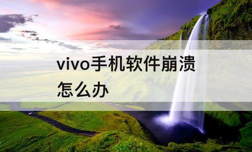 vivo手机软件崩溃怎么办