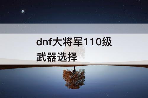 dnf大将军110级武器选择