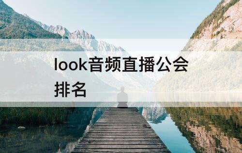 look音频直播公会排名