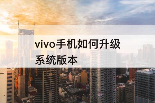 vivo手机如何升级系统版本