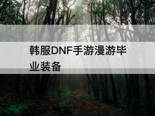 韩服DNF手游漫游毕业装备