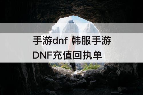 手游dnf 韩服手游DNF充值回执单