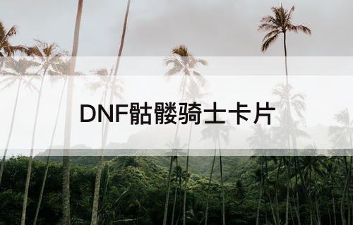 DNF骷髅骑士卡片