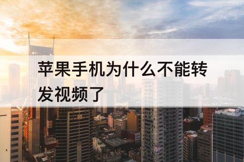 苹果手机为什么不能转发视频了