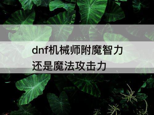 dnf机械师附魔智力还是魔法攻击力