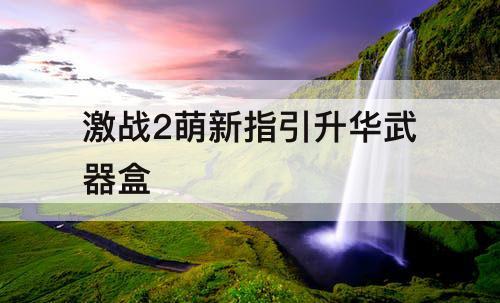激战2萌新指引升华武器盒