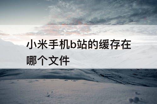 小米手机b站的缓存在哪个文件