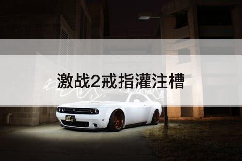 激战2戒指灌注槽