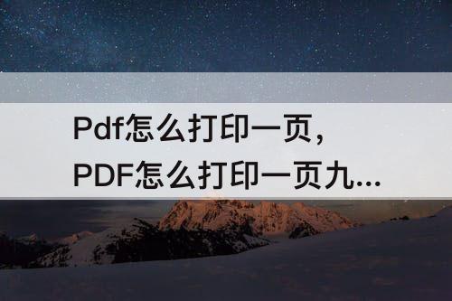 Pdf怎么打印一页，PDF怎么打印一页九个