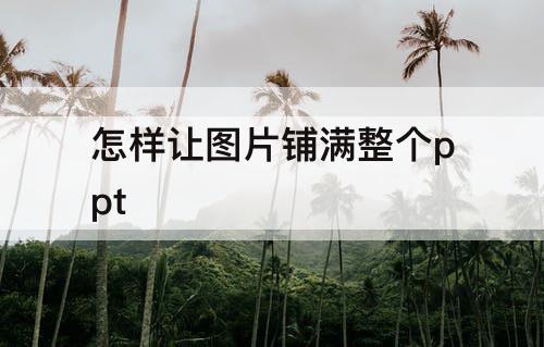 怎样让图片铺满整个ppt