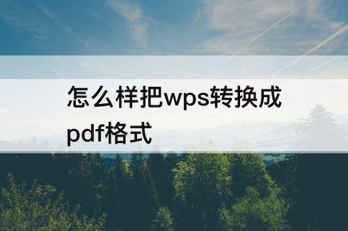 怎么样把wps转换成pdf格式